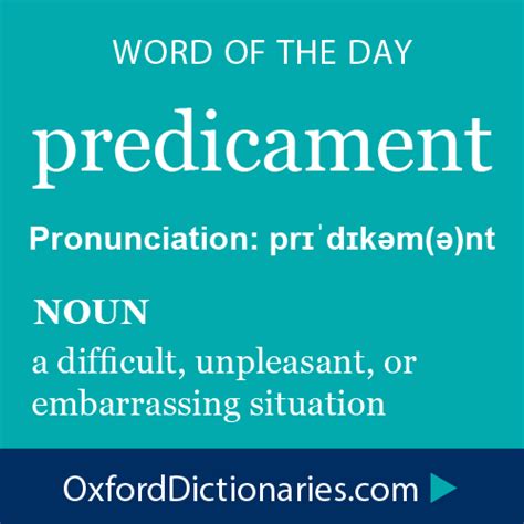 predicament definition|predicament noun .